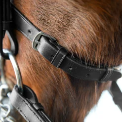 Outlet * Vienna Anatomiset Kankisuitset Musta