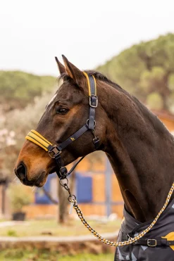 Best * Wicklow Riimu Dark Navy