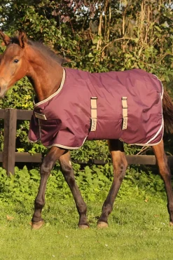 ariat Ascent Treenipaita Vetoketjulla