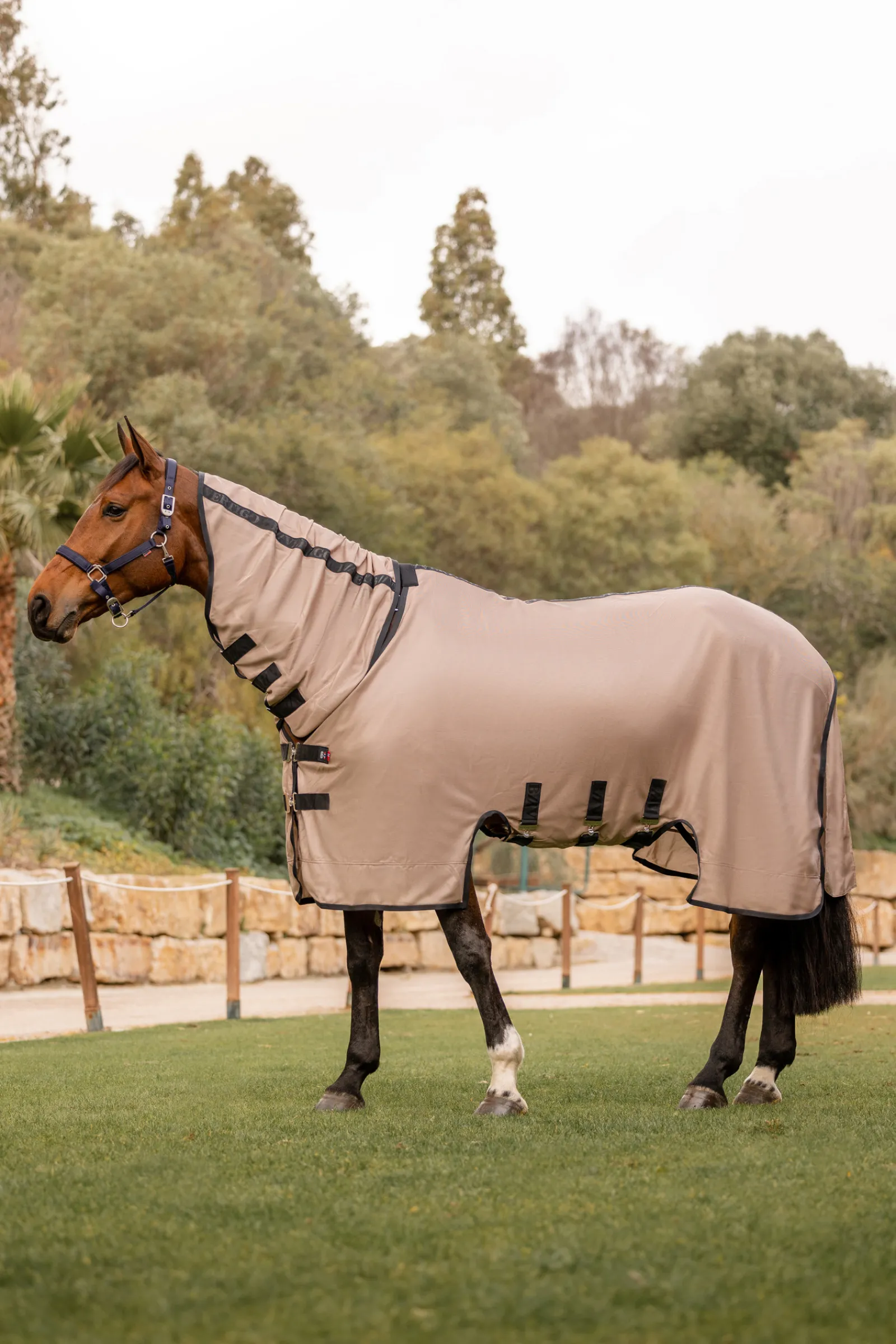 Clearance bvertigo B Vertigo Delux Hyonteisloimi Irrotettavalla Kaulakappaleella Seka Uv-Suojalla Ginger Snap