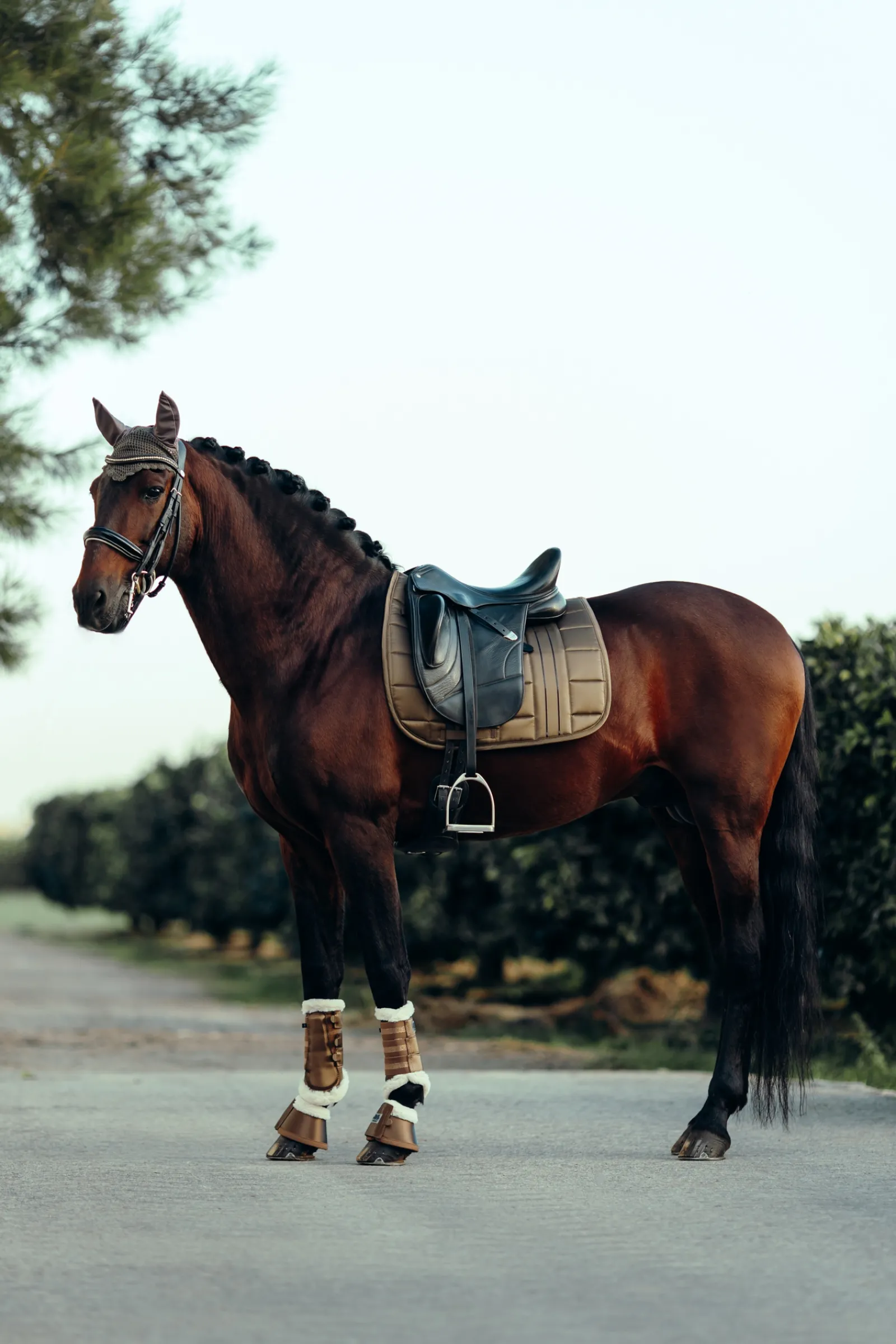 Sale bvertigo B Vertigo Drew Hivutussuojat Tekoturkisvuorella Cub Brown