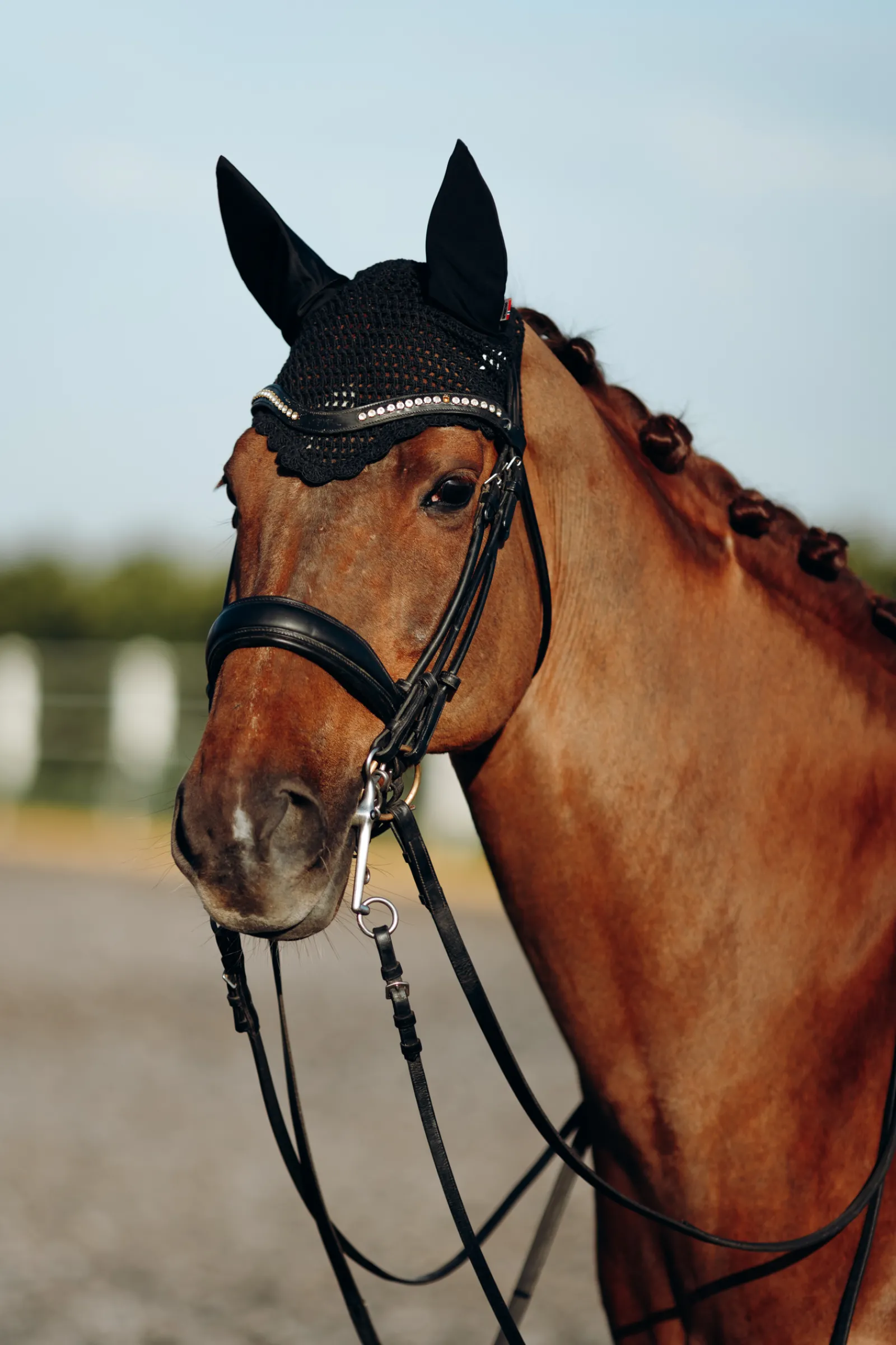 bvertigo B Vertigo Drew Korvahuppu Black