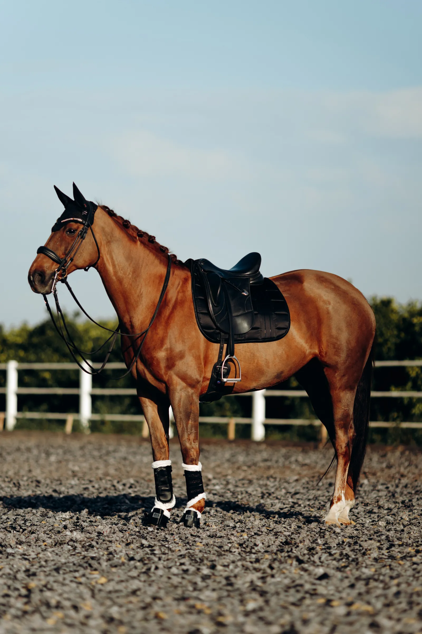 bvertigo B Vertigo Drew Korvahuppu Black