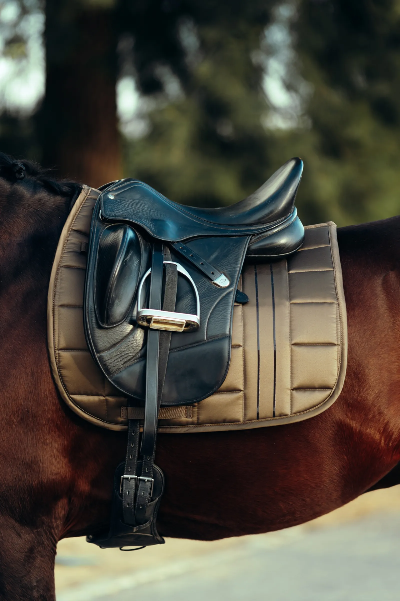 Outlet bvertigo B Vertigo Drew Koulusatulahuopa Cub Brown