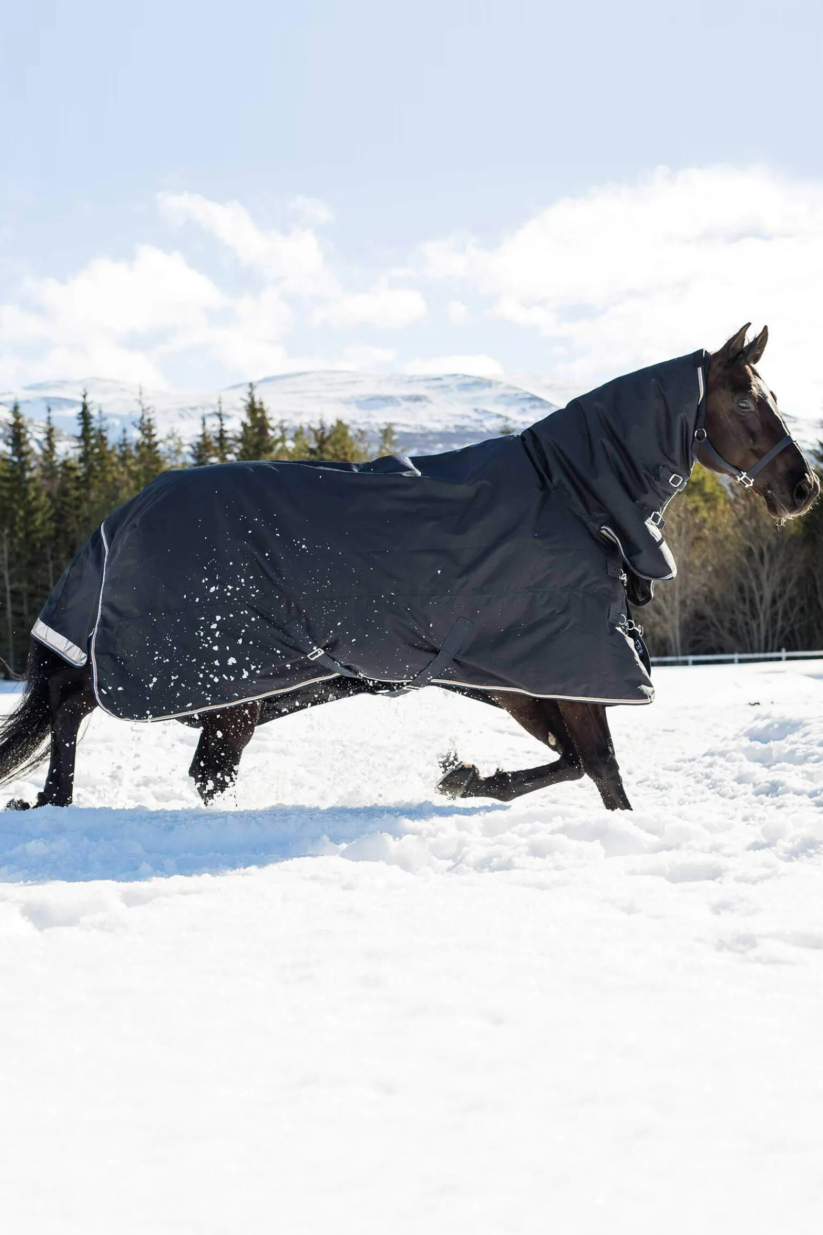 Discount bvertigo B Vertigo Georgina -Ulkoloimi Kaulakappaleella 400 G Dark Navy