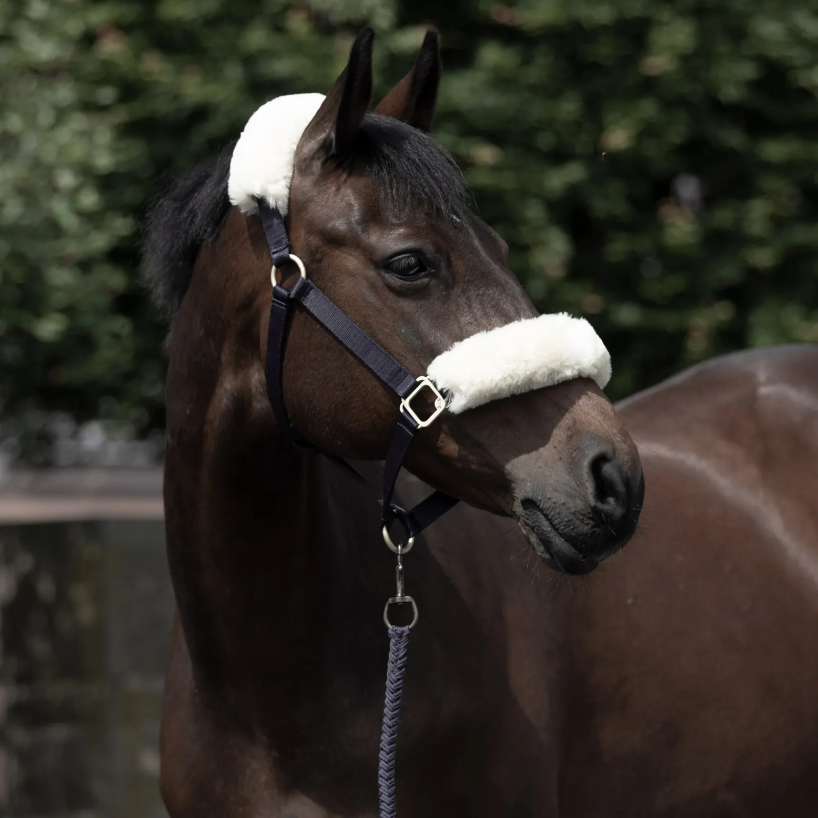 Clearance bvertigo B Vertigo Laurier Riimu Lampaankarvalla Dark Navy