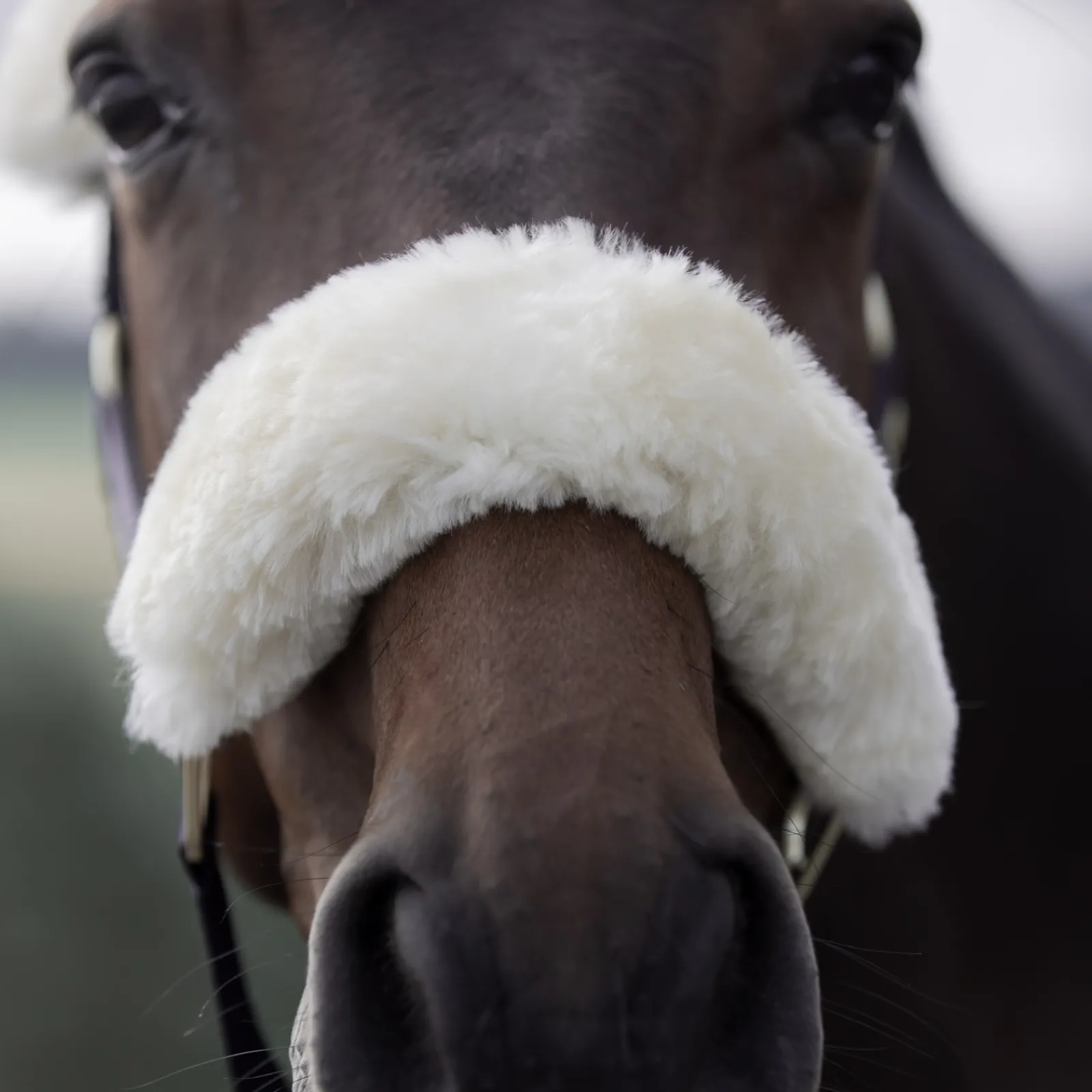 Clearance bvertigo B Vertigo Laurier Riimu Lampaankarvalla Dark Navy