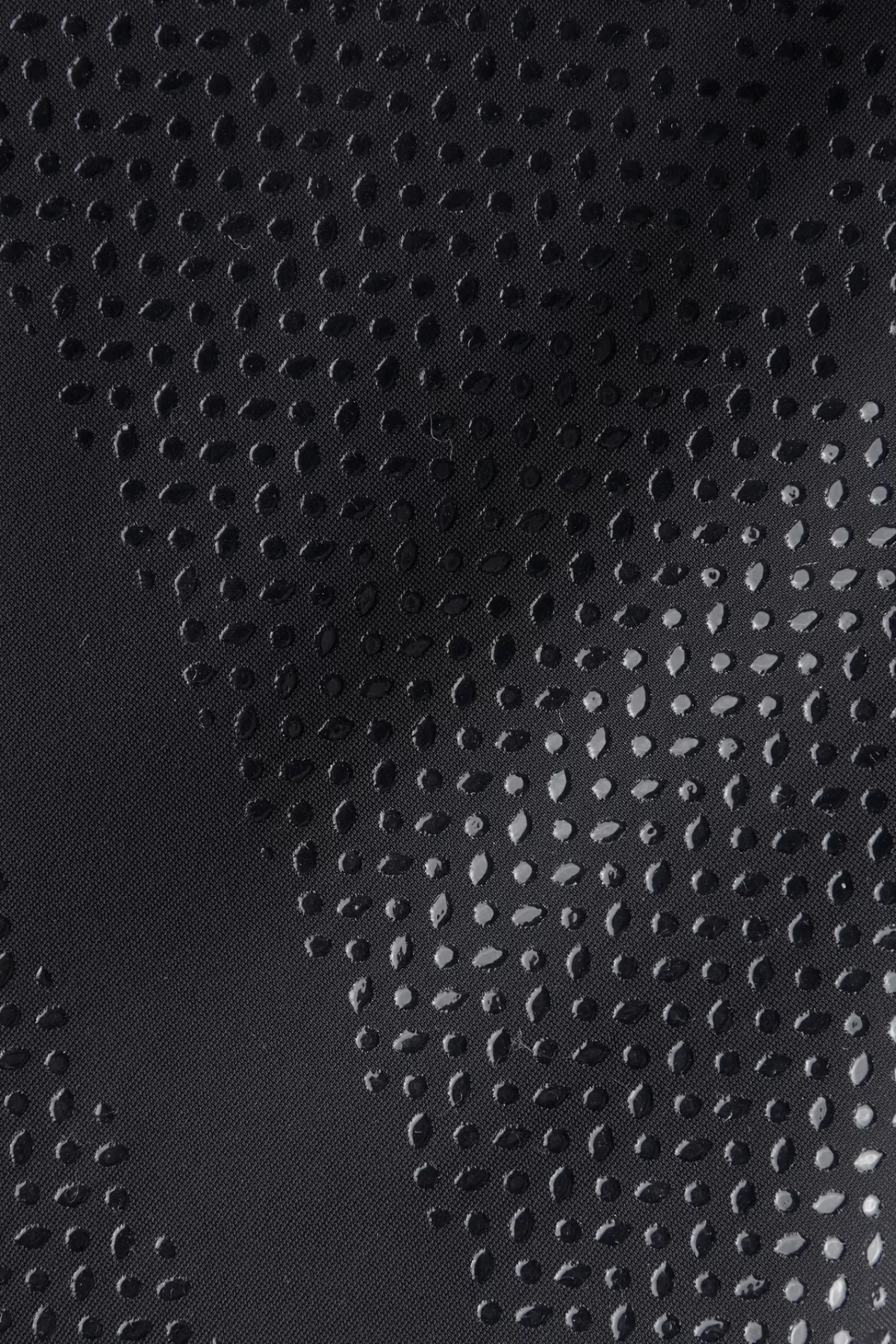 bvertigo B Vertigo Morgana Naisten Ratsastushousut Kokogripeilla