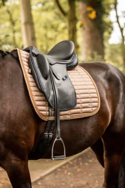 Sale bvertigo B Vertigo Quinn Koulusatulahuopa Shiitake Beige