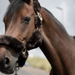 New bvertigo B Vertigo Tremblant Riimu Lampaankarvalla Ruskea