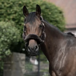 New bvertigo B Vertigo Tremblant Riimu Lampaankarvalla Ruskea