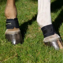 Best backontrack Bacl On Track Pastern Wrap Black