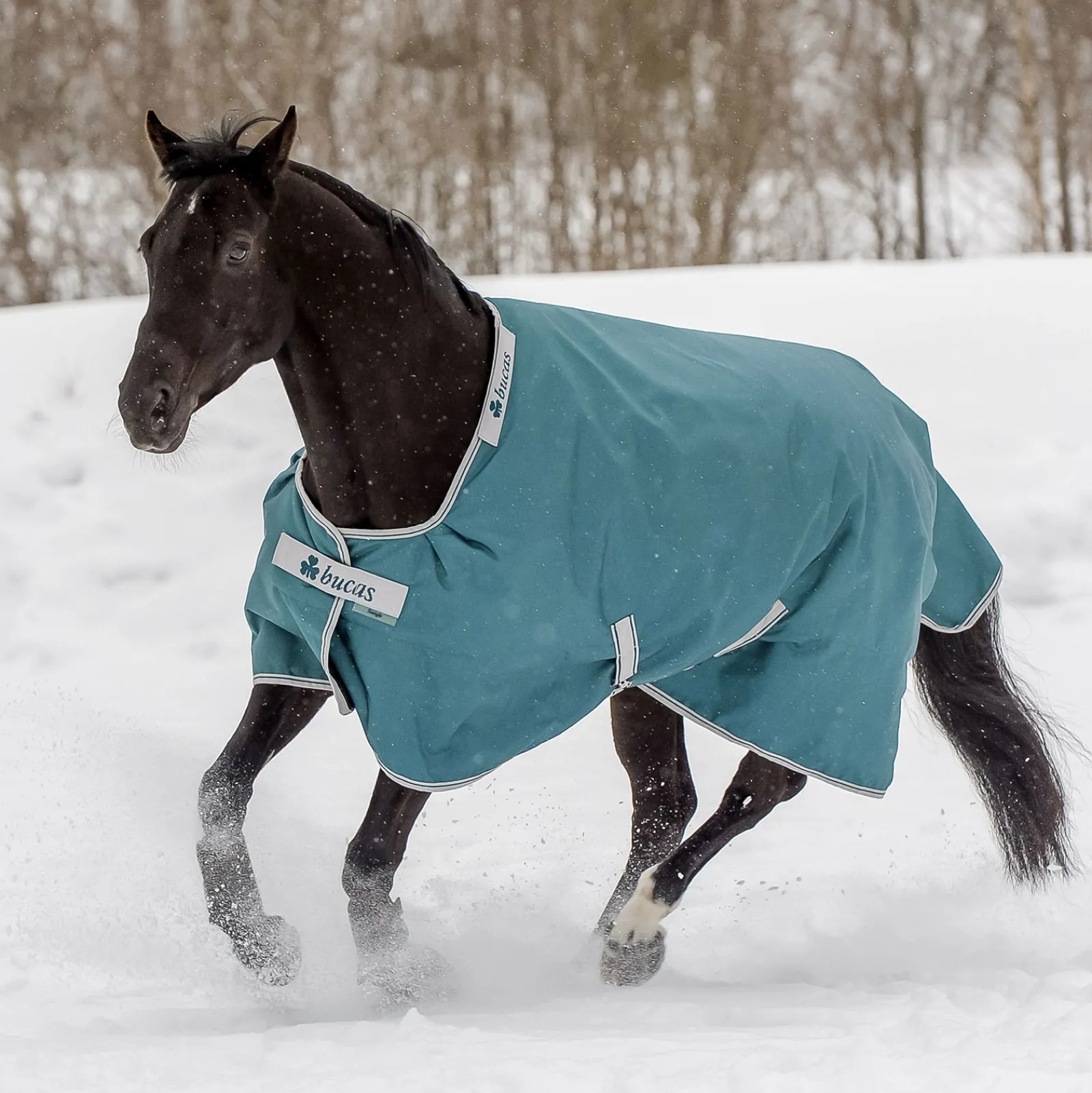 Hot bucas Atlantic Ulkoloimi, 200 G Green