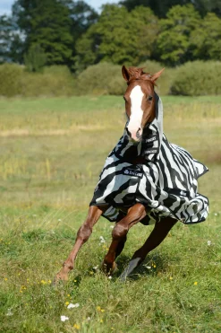 Sale bucas Buzz-Off Zebra Kaulakappaleella Black/White