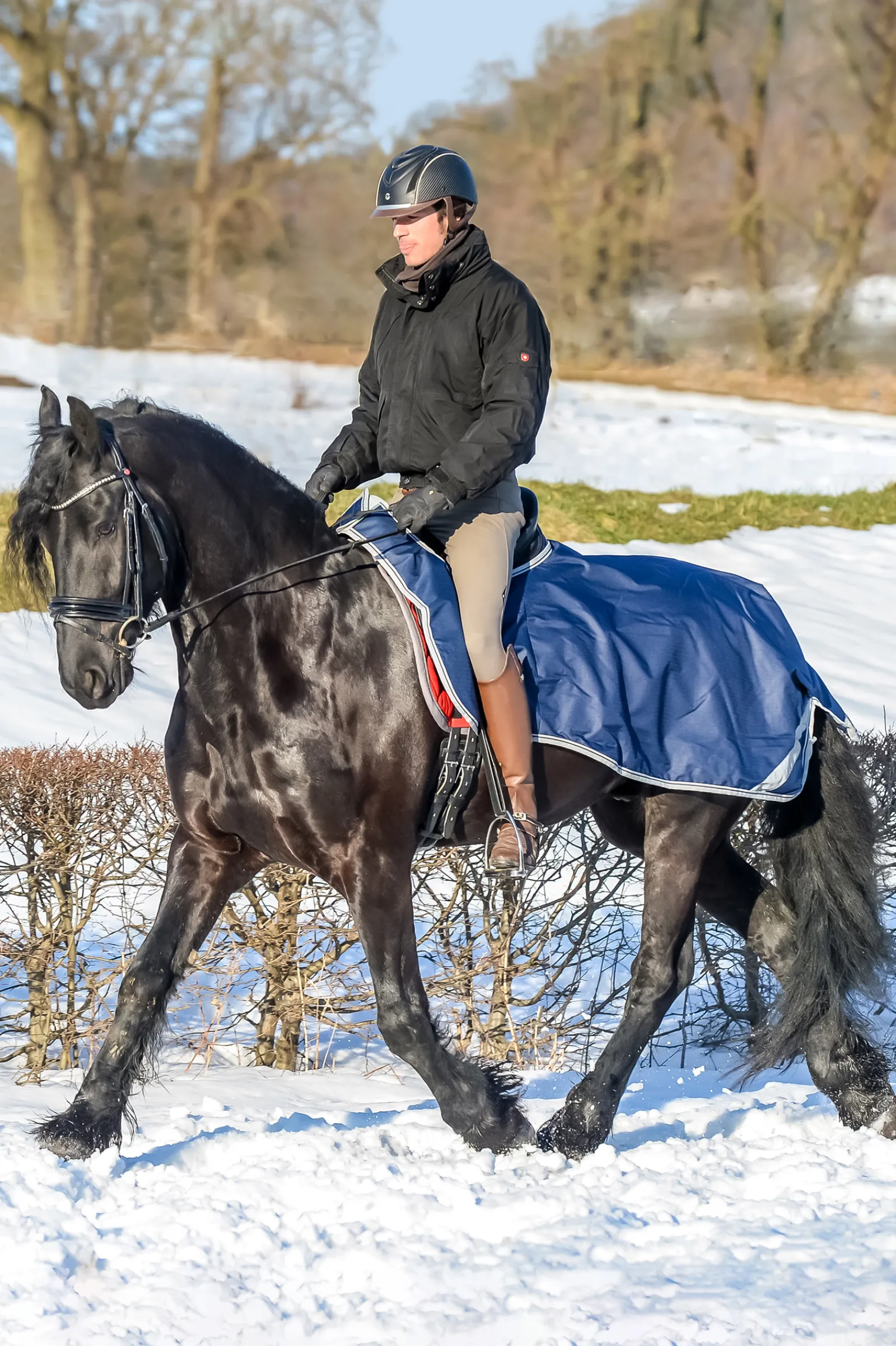 Hot bucas Freedom Ratsastusloimi Db/Ab