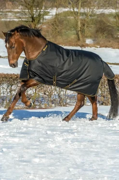 New bucas Irish Turnout Light Classic Cut Ulkoloimi Black/Gold