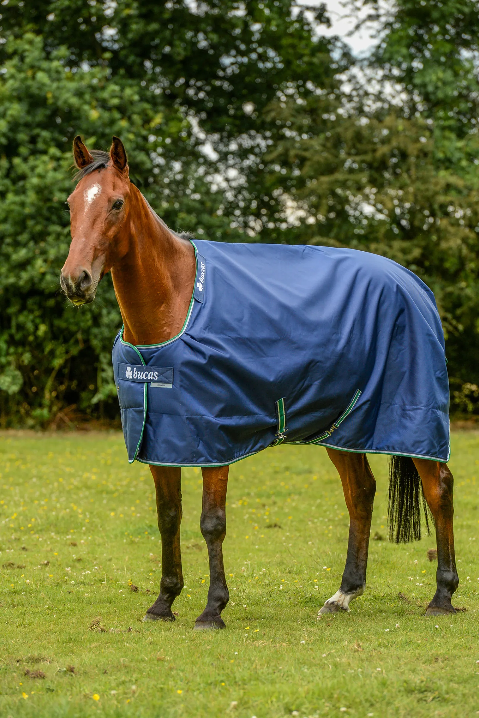 Outlet bucas Smartex Sadeloimi Blue/White