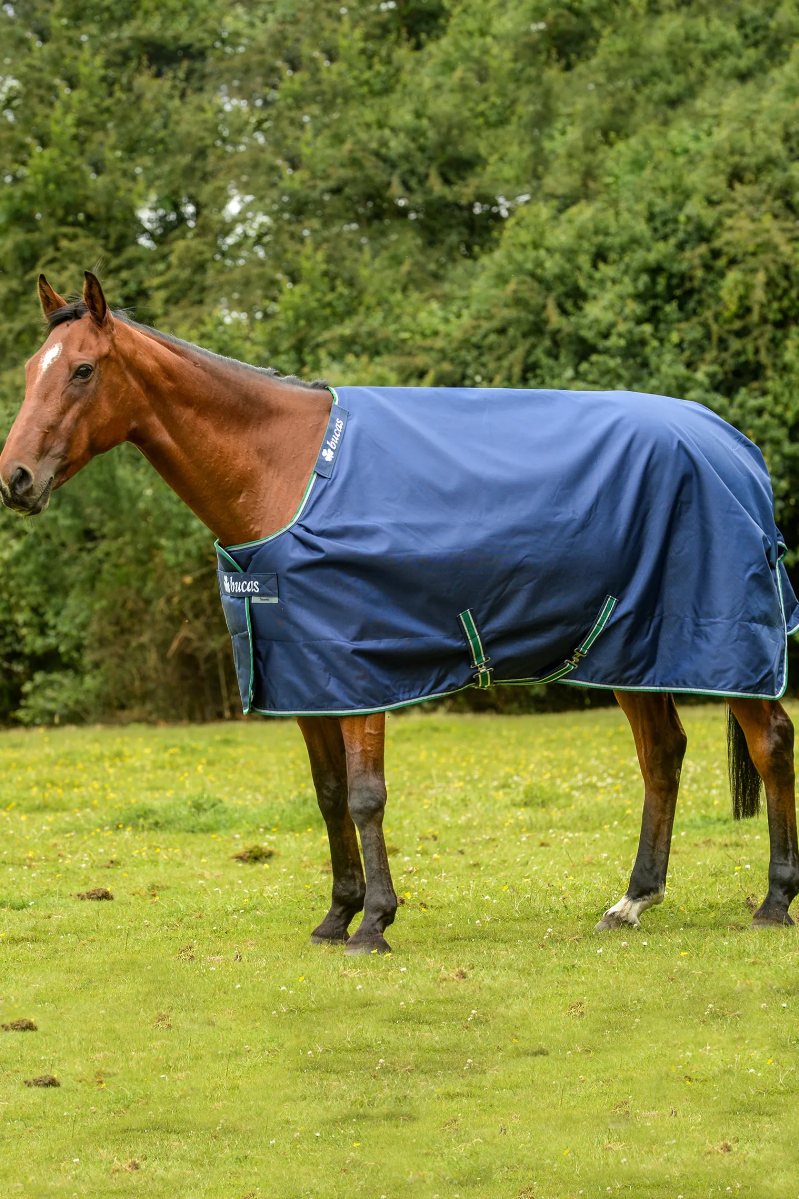 Outlet bucas Smartex Sadeloimi Blue/White