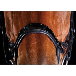 Online collegiate Comfitec Patent -Suitset Black