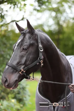 Online covalliero Dexter Riimu Fleecevuorauksella Black