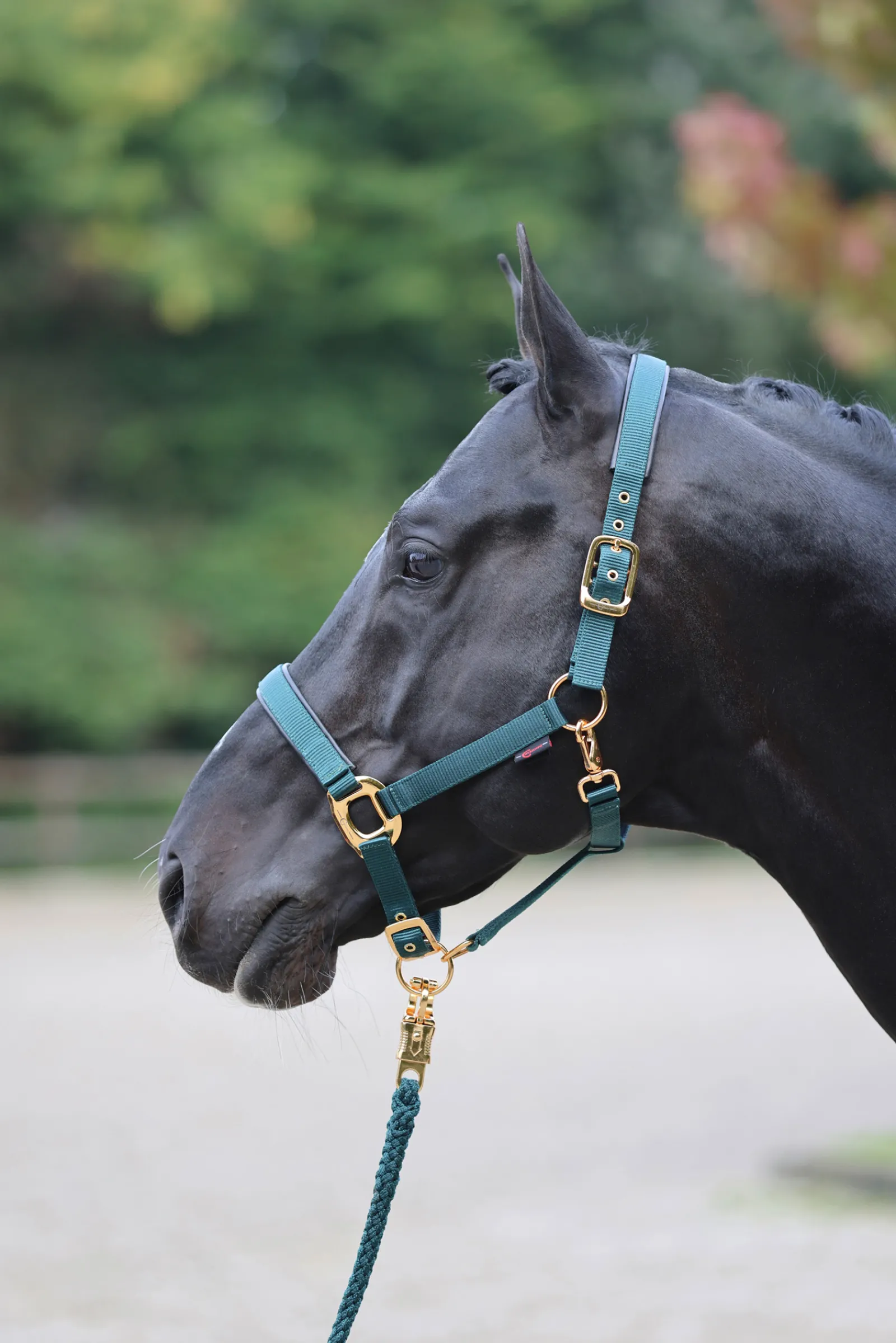 Hot covalliero Topline Riimu Forest Dark Green