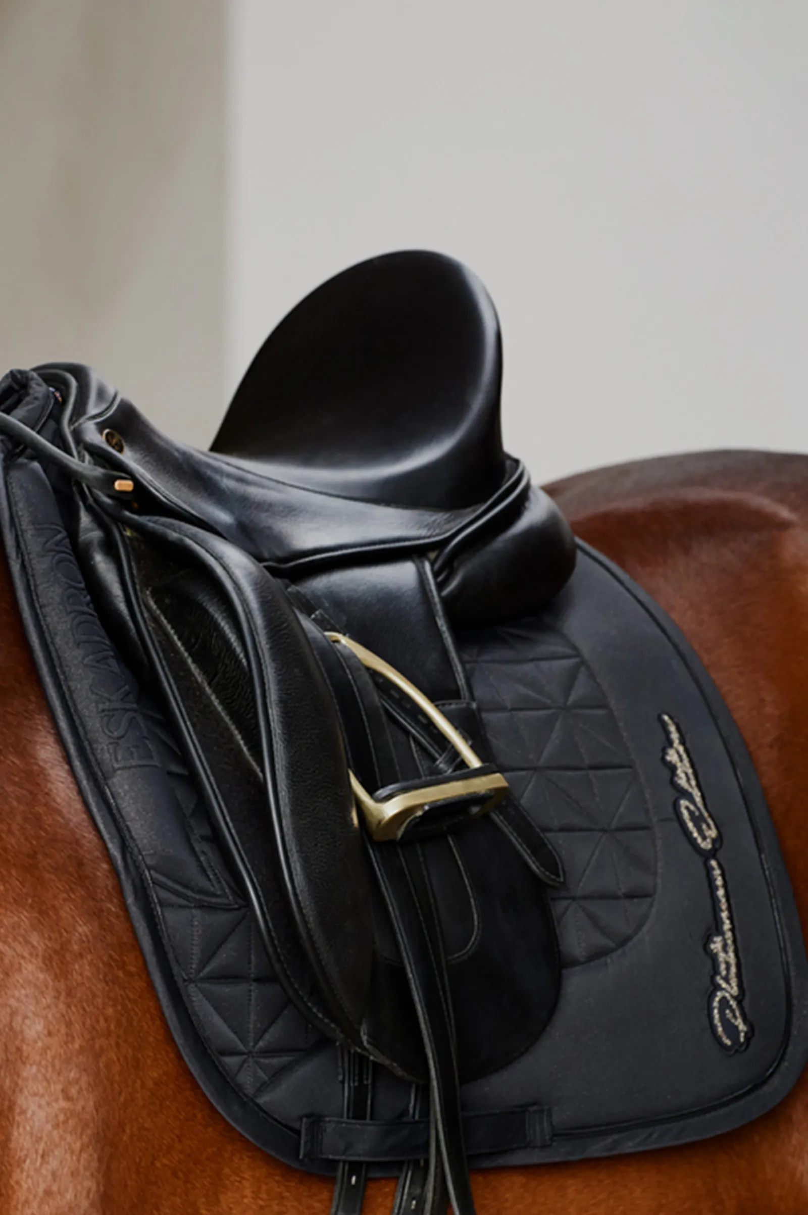 Sale eskadron Platinum 23 Sparkle Avantgarde Kouluratsastussatulatyyny Black