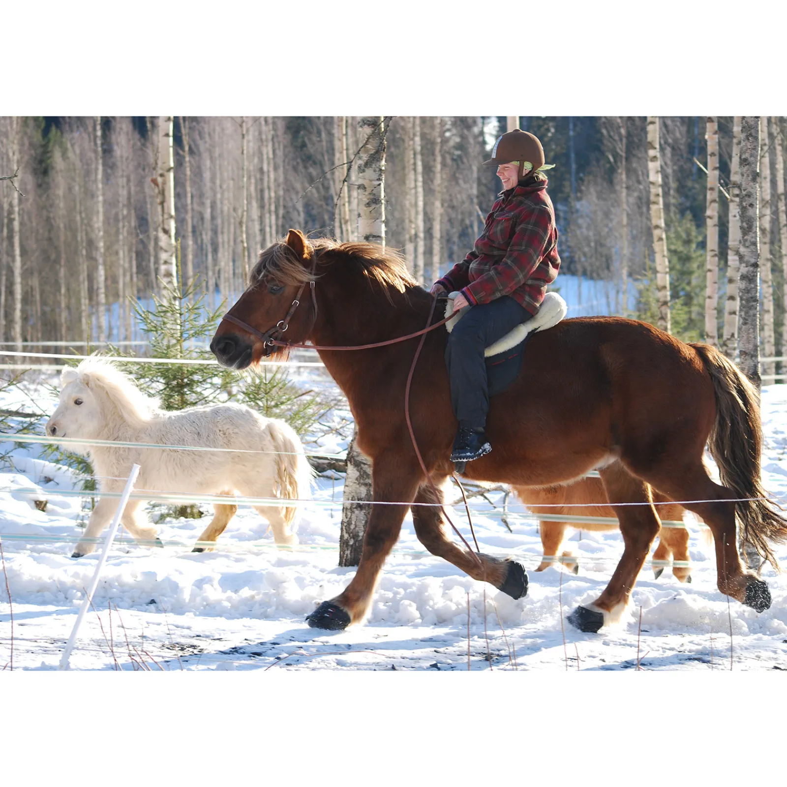 Outlet cavallohorseriderfr F.R.A. Cavallo Simple Slim Bootsit Black