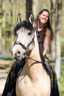 Clearance fra F.R.A. Imperial Hackamore Suitset, Shire Black