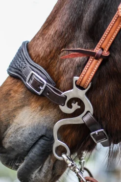 Hot fra F.R.A. Music Set Hackamore Ss, 140 Mm Stainless Steel