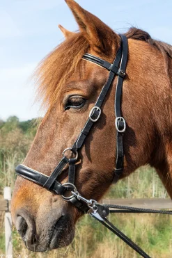 Clearance fra F.R.A. Pardoes De Luxe Sidepull Suitset (System 3) Black/Beige