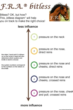 Hot fra F.R.A. Tinver Kuolaimettomat Suitset (System 4), Mukana Ohjat, Shire Black