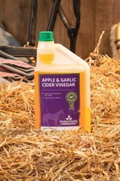 Sale globalherbs Global Herbs Apple & Garlic Cider Vinegar Equine, 1 L Ei Maaritelty
