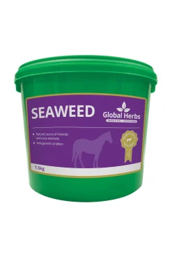 Clearance globalherbs Global Herbs Seaweed, 1,5 Kg Ei Maaritelty