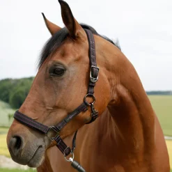 New goleygo -Riimu Black/Fuschia Pink