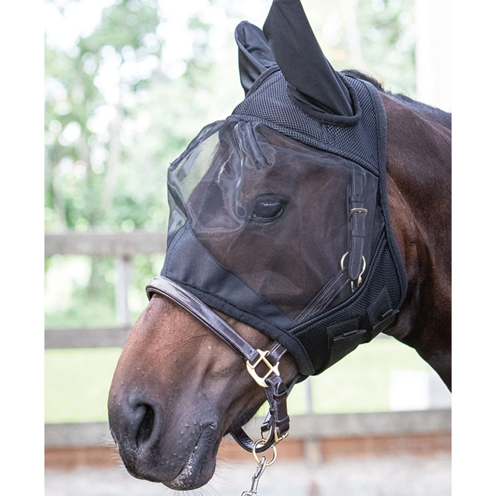 New harryshorse Harry'S Horse Flyshield Karpasmaski Black