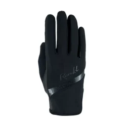 schmidt Hauke Galaxy Kasineet