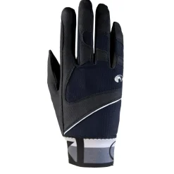 schmidt Hauke Heater -Kasineet