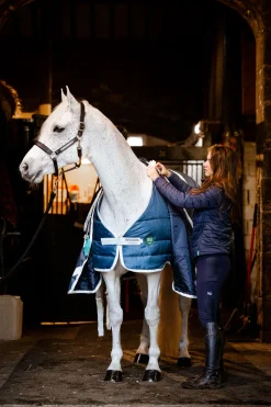 Sale horseware Ameco Alusloimi, 100 G Teal/ Grey