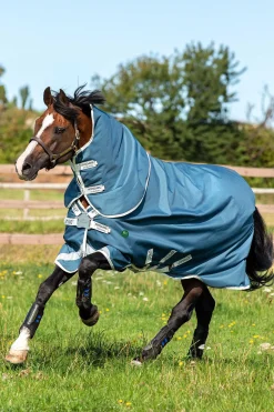 New horseware Ameco Bravo 12 Plus Ulkoloimi Irrotettavalla Kaulakappaleella, 100 G Teal/ Grey