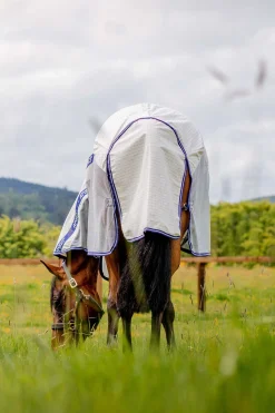 Hot horseware Amigo Airflow -Loimi Navy/Airblue