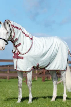 Outlet horseware Amigo Aussie Karpasloimi Levykiinnityksella Green/Cream/Burgundy