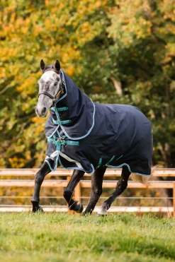 Hot horseware Amigo Bravo 12 Plus Medium Ulkoloimi, 250 G Navy/Airblue