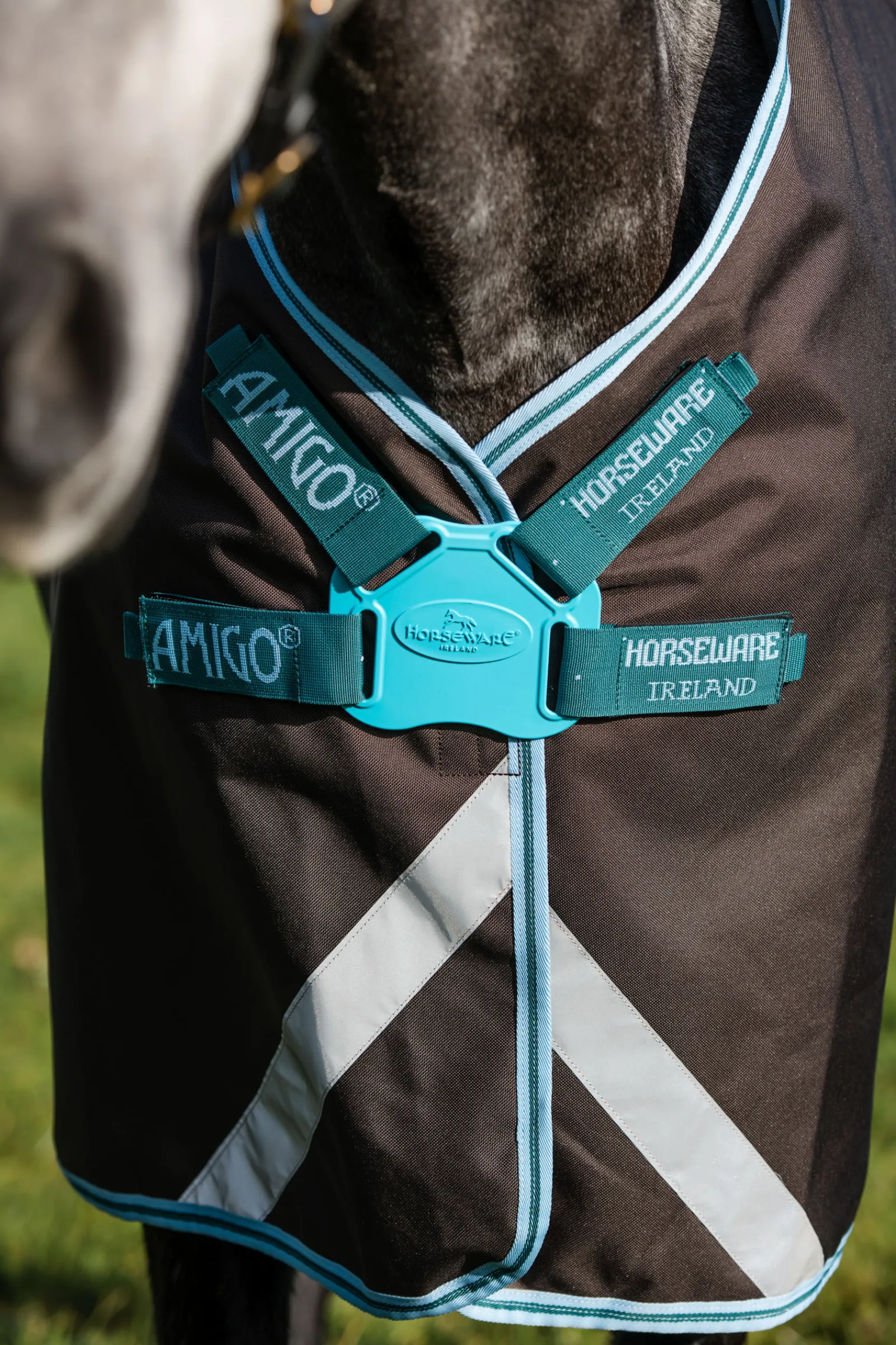 horseware Amigo Bravo 12 Plus Ulkoloimi Levykiinnityksella, 250 G Excalibur/Aqua & Turquoise