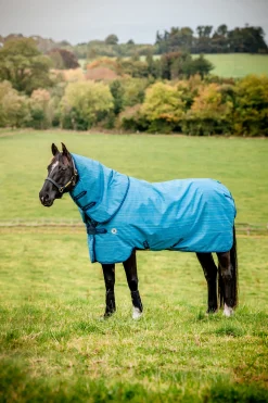 Sale horseware Amigo Hero 900 Revive Plus Ulkoloimi, Mukana Irrotettava Kaulakappale, 50 G Oceanblue