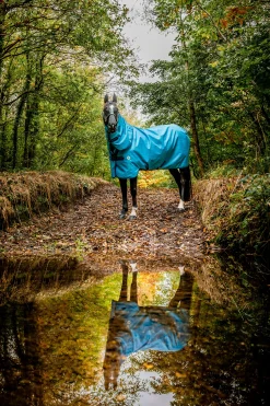 Sale horseware Amigo Hero 900 Revive Plus Ulkoloimi, Mukana Irrotettava Kaulakappale, 50 G Oceanblue