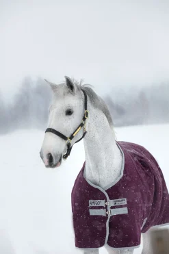 Hot horseware Amigo Hero Ripstop Ulkoloimi, 200 G Fig/Silver