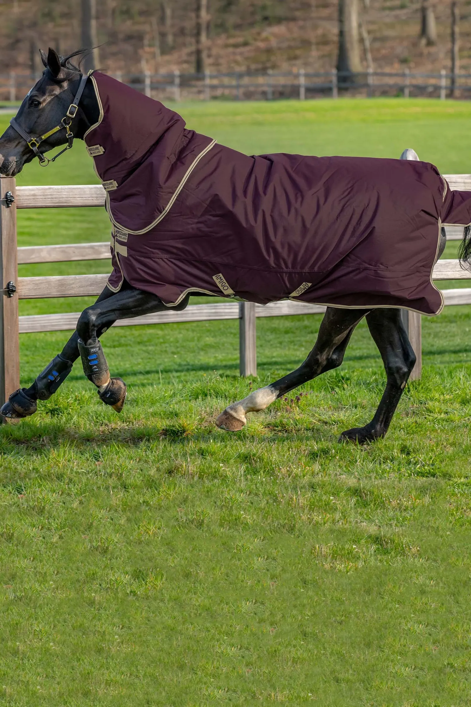 Discount horseware Amigo Hero Ripstop Plus Lite Ulkoloimi Irrotettavalla Kaulakappaleella, 0 G Fig/Navy/Tan