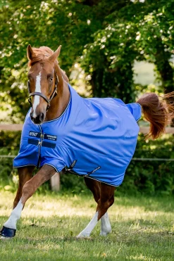 Hot horseware Amigo Hero Ripstop -Loimi 50 G Blue/ Navy/ Grey