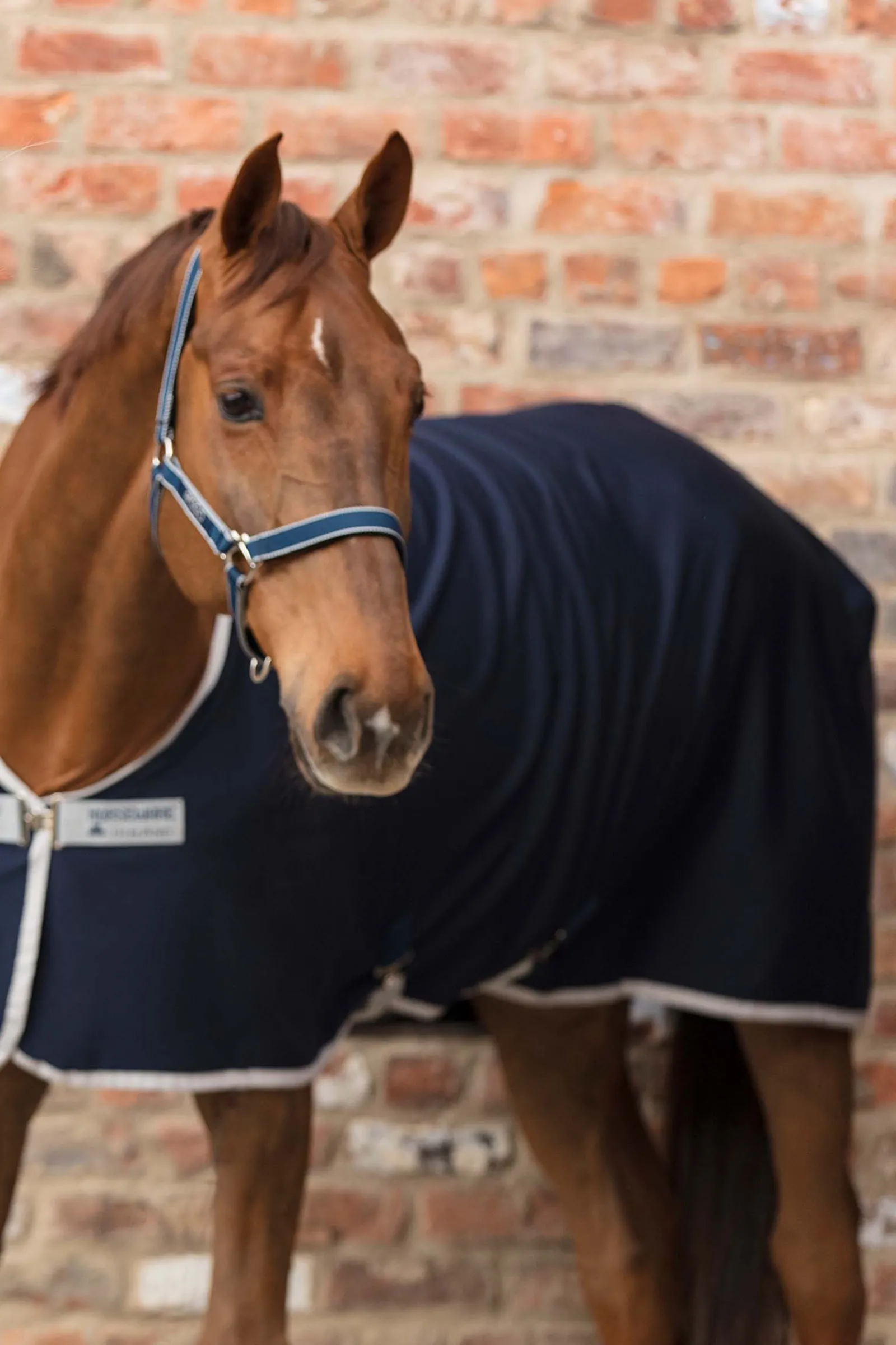 Discount horseware Amigo Riimu Dark Blue/Silver