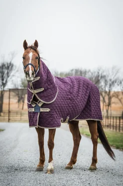 New horseware Amigo Stable Plus Med Disc Talliloimi Irrotettavalla Kaulakappaleella, 200 G Fig/Navy/Tan